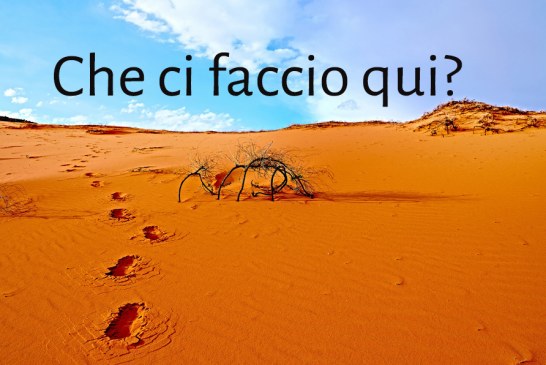 Che ci faccio qui?