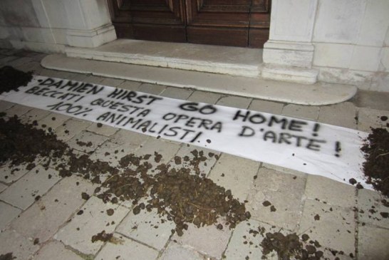 Hidalgoarte è animalista al 100%