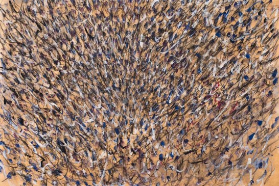MUSIA, un nuovo spazio per l'arte contemporanea a Roma