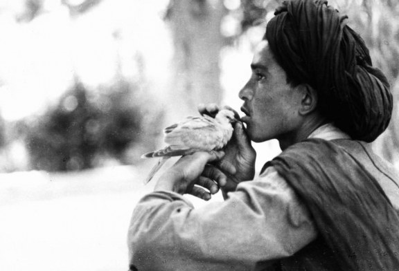 Frammenti di un bestiario amoroso. Fotografie di MARILAIDE GHIGLIANO