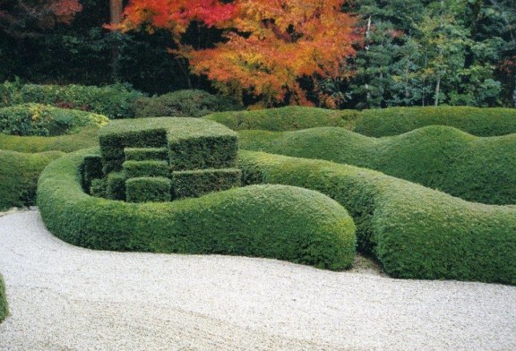 Il Giardino di ADRIANO & GORAZD