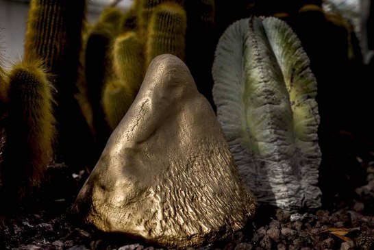 “Tutta l’Arte è imitazione della Natura”