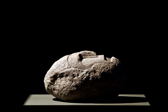 La scultrice greca VENIA DIMITRAKOPOULOU indaga la materia