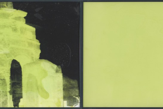 CLAUDIA PEILL. Acid