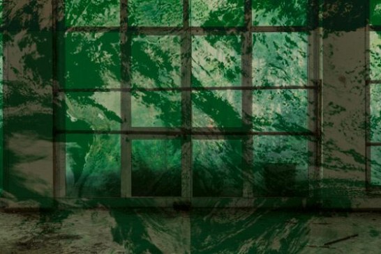IlmondoINfine: vivere tra le rovine