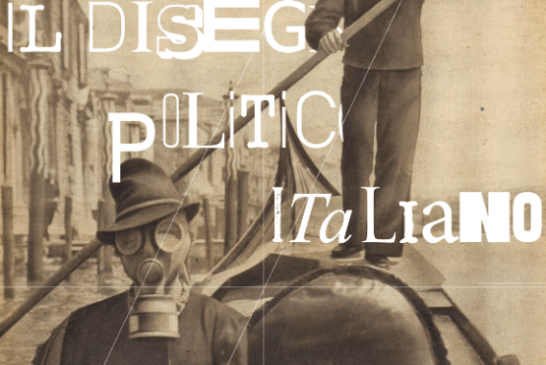 Il disegno politico