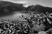 SEBASTIAO SALGADO. AFRICA