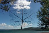 In terra di Vulci. La scultura contemporanea dentro e fuori le mura