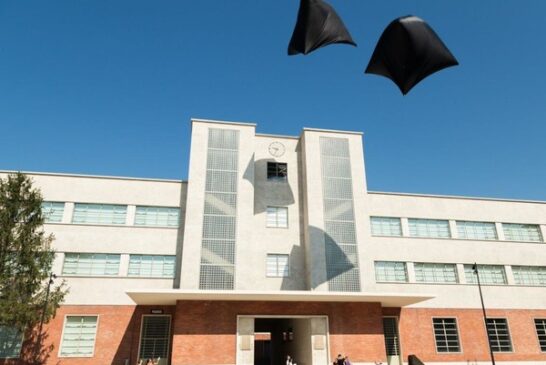 NAM Not a Museum. Il Museo non museo