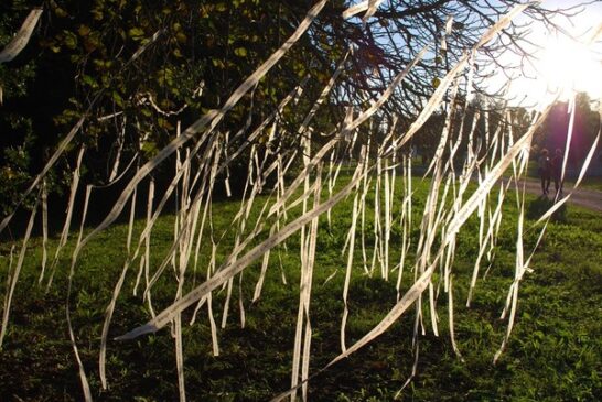 Open box. I Giardini dell'Aventino aprono al contemporaneo