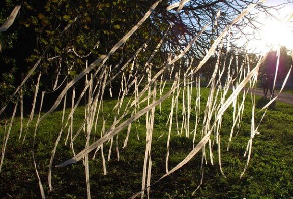 Open box. I Giardini dell'Aventino aprono al contemporaneo