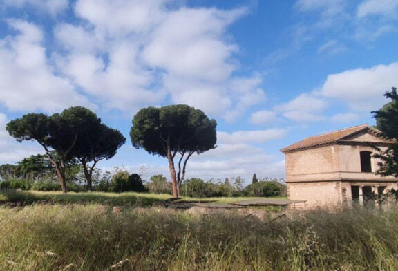 Creature Festival 2020. Il suono si fa spazio