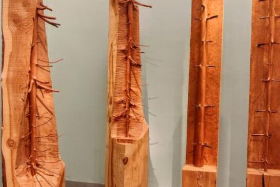 Gli Alberi in versi di GIUSEPPE PENONE