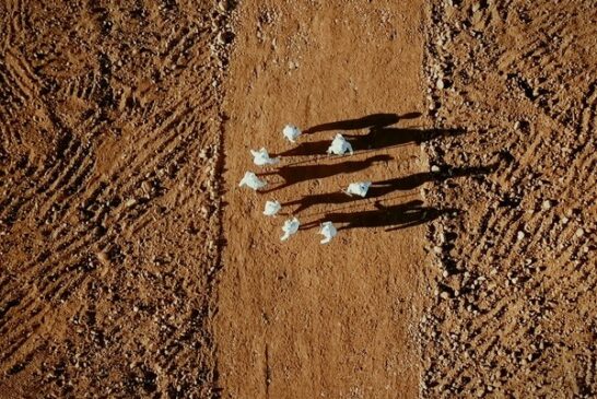 Rethinking Nature. L'ecologia politica incontra l'arte