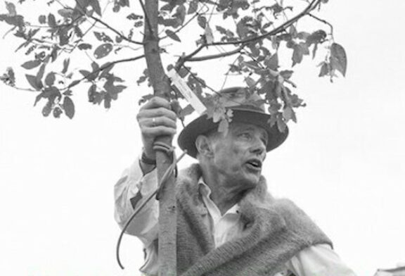 JOSPEH BEUYS in difesa della natura