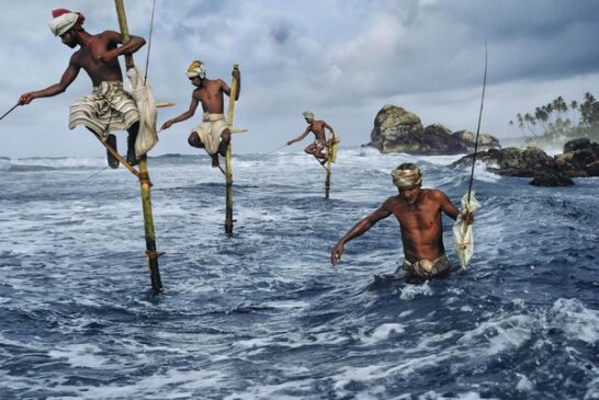 La riflessione sul cibo di STEVE McCURRY