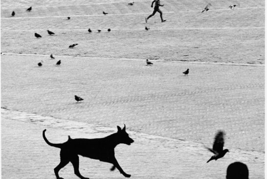 L'occhio come mestiere. GIANNI BERENGO GARDIN