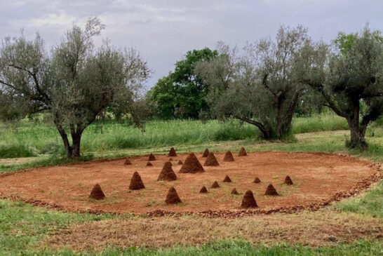 Terra-Arte 2022. Al via la nuova edizione
