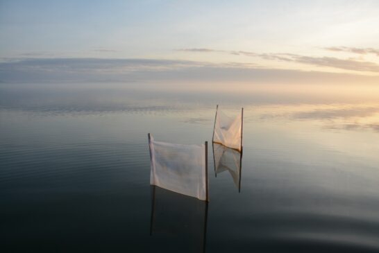 ROBERTO GHEZZI, The Greenland Project