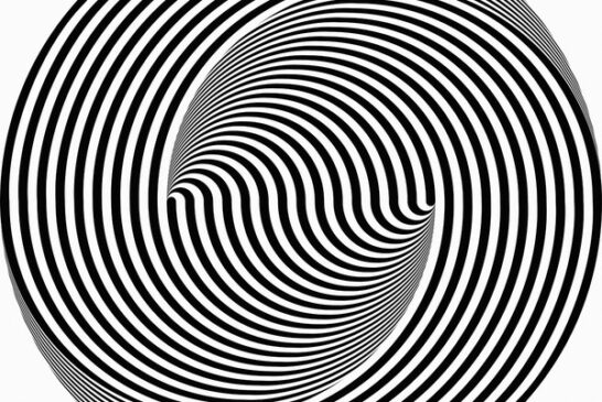 L'inganno dell'occhio. Il gioco dell'arte