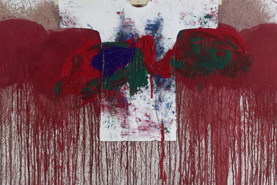 HERMANN NITSCH attraverso l'obiettivo di Stefano Fontebasso De Martino