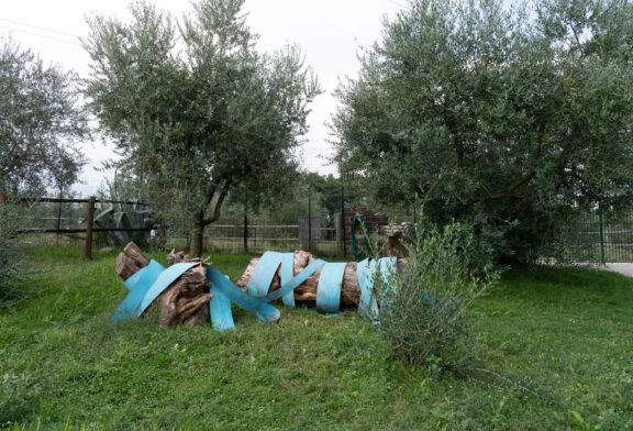 SCULTURE IN CAMPO a Roma. LAURA IAMURRI dialoga con LICIA GALIZIA