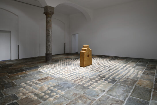 Il magnifico viaggio  di WOLFGANG LAIB