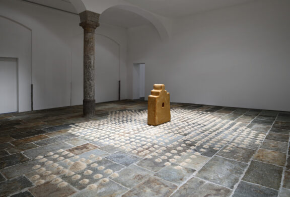 Il magnifico viaggio  di WOLFGANG LAIB