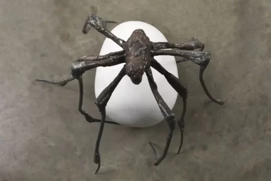 LOUISE BOURGEOIS. Non mi  abbandonare