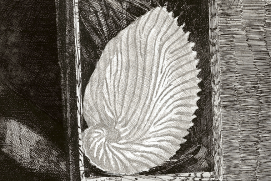 LUIGI BARTOLINI incisore