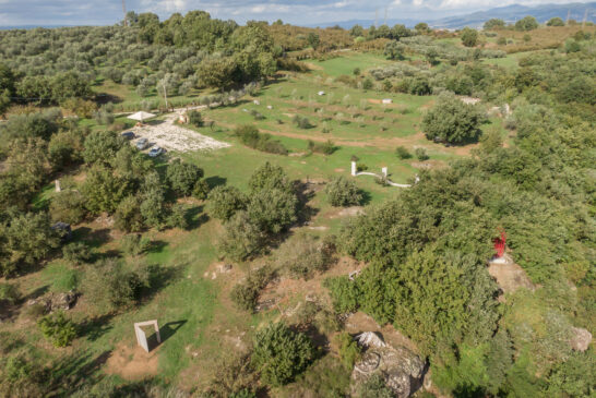 SCULTURE IN CAMPO, con l'Archivio 