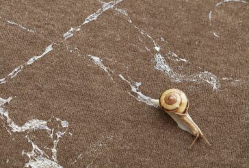 Mutual Aid. Arte, in collaborazione con la natura