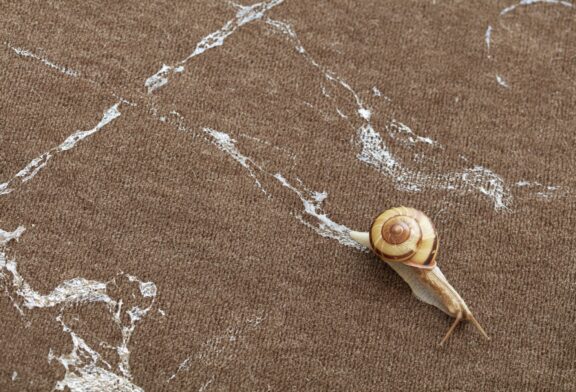 Mutual Aid. Arte, in collaborazione con la natura