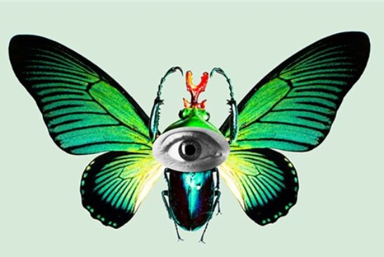 Elogio della diversità. Un viaggio attraverso gli ecosistemi