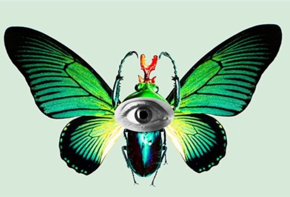 Elogio della diversità. Un viaggio attraverso gli ecosistemi