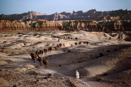 Steve McCurry. Uplands&Icons