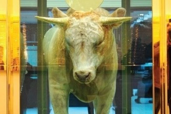 Il vitello d'oro, Damien Hirst