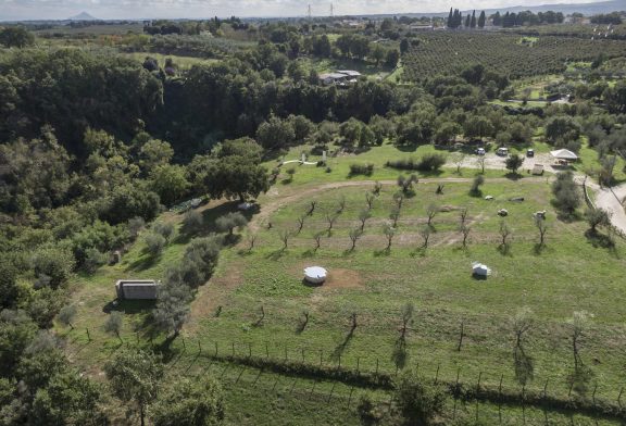 MOMENTANEA INTERRUZIONE DELLE VISITE SENZA PRENOTAZIONE AL PARCO DI SCULTURE DI BASSANO IN TEVERINA