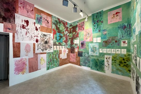 Perdersi per vedere. Conversazione tra Emma Ercoli e Veronica Montanino sulla mostra Come in!
